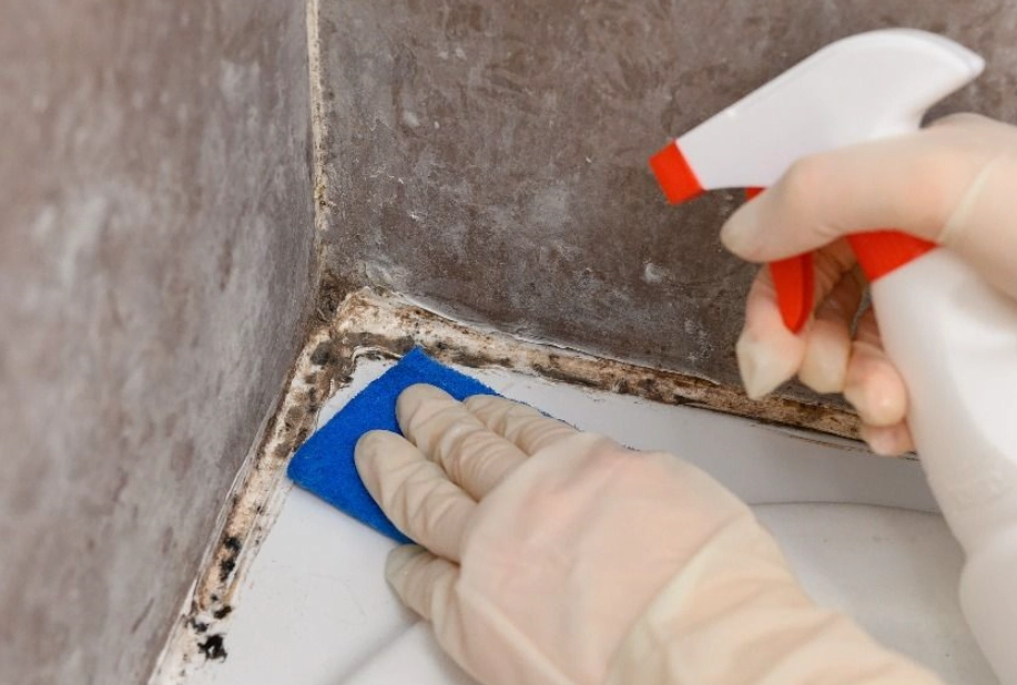 漂白水除霉時間終極指南：掌握黃金比例與關鍵時效