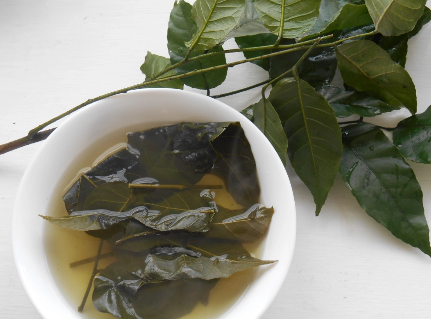 黃皮煲水全攻略：功效、做法與常見問答一次看懂