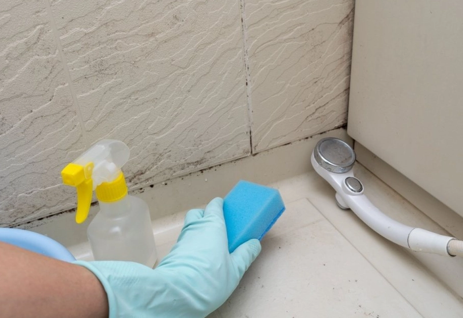 漂白水除霉比例 漂白水除霉比例