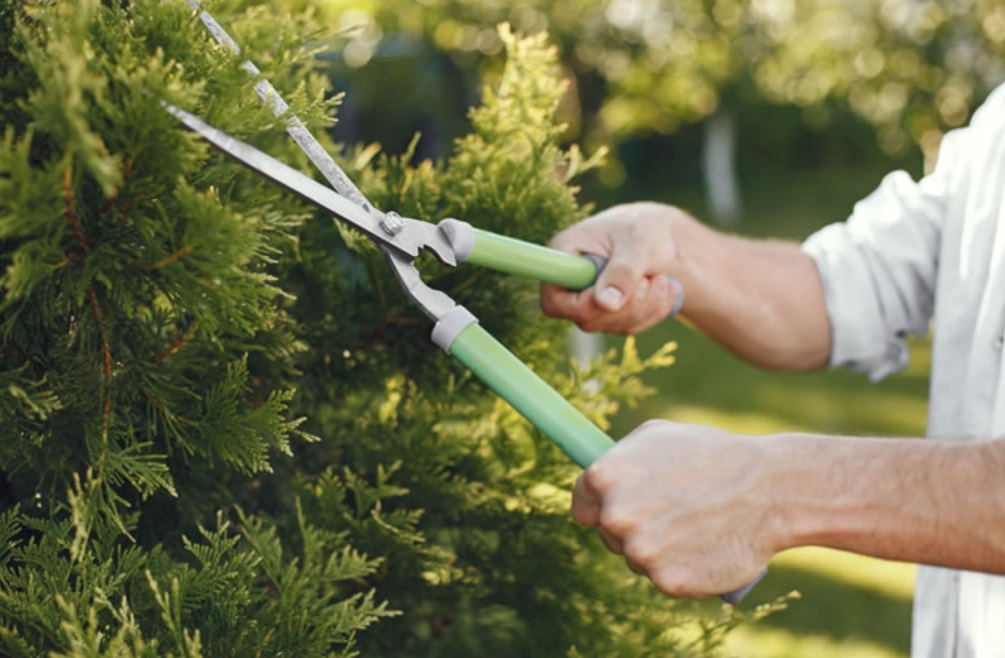 修剪工具推薦