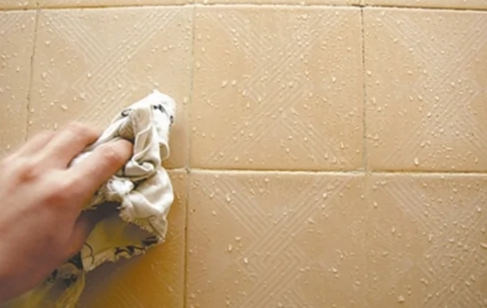 牆壁發霉 牆壁發霉