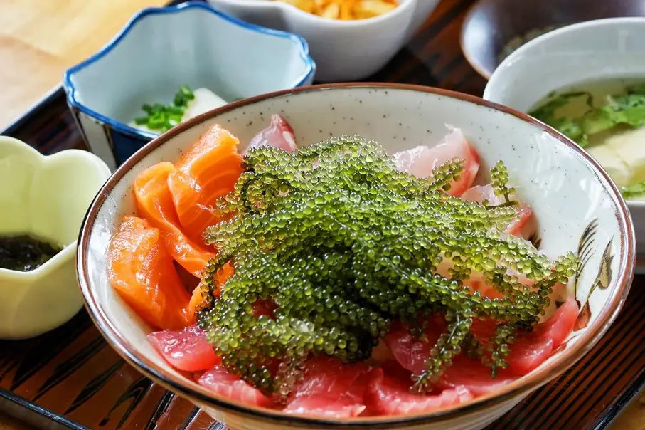 長莖葡萄蕨藻 長莖葡萄蕨藻