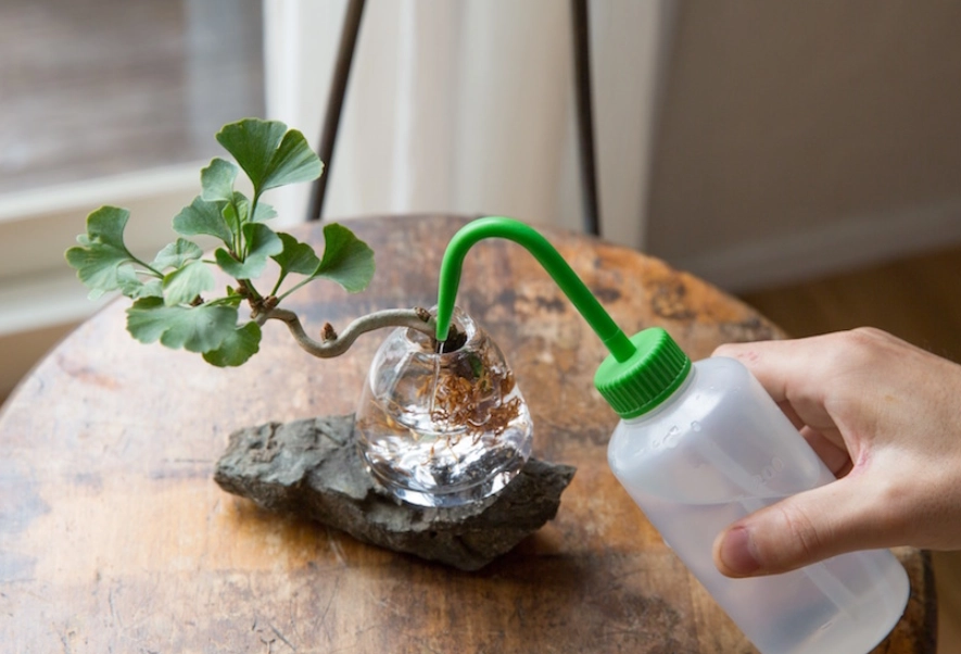 水耕 自來水 處理 水耕 自來水 處理