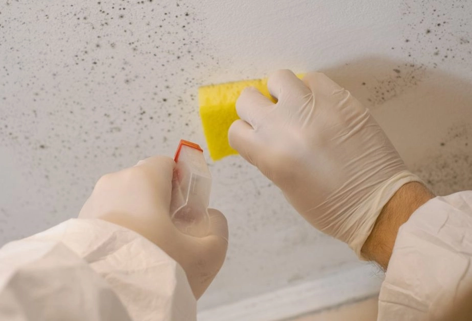 浴室除霉方法 浴室除霉方法