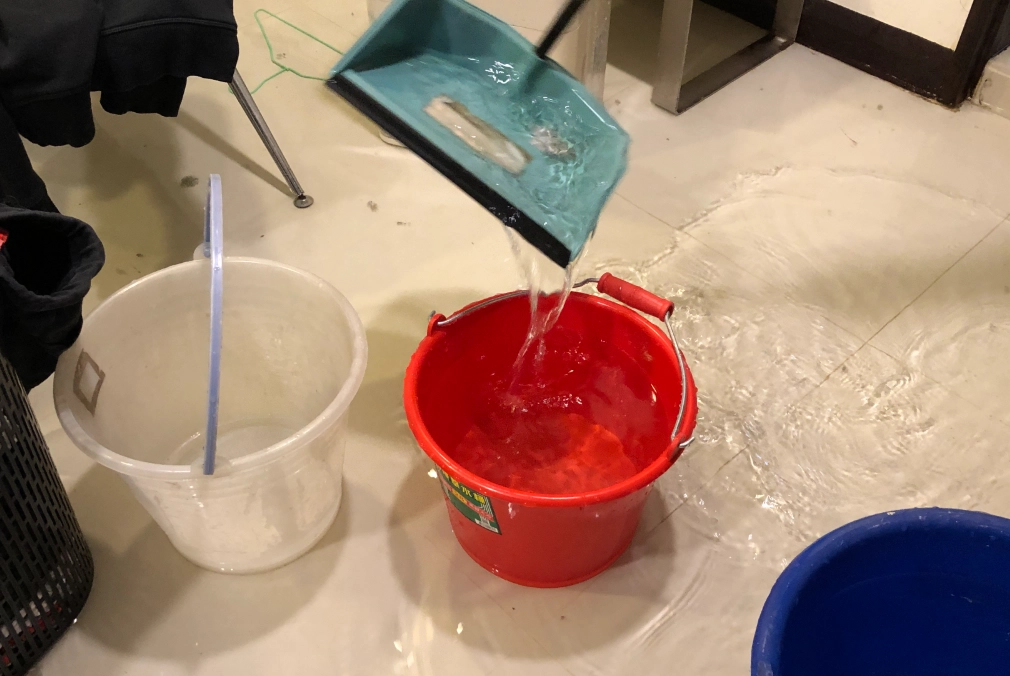 水災夢境心理學