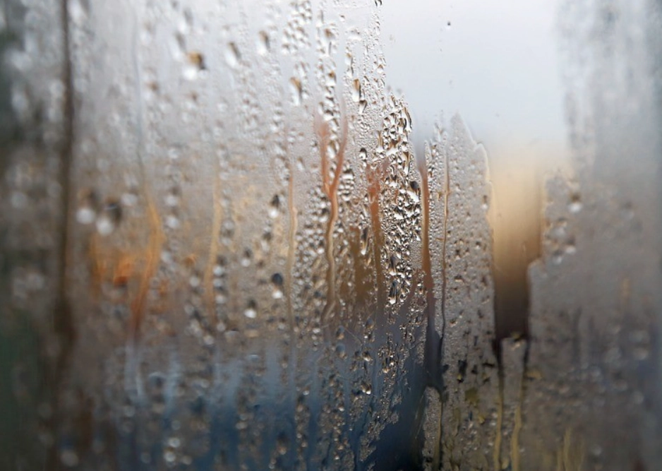 衣櫥除濕 衣櫥除濕