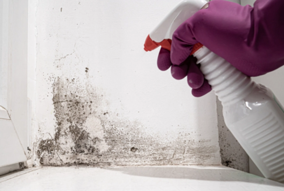 漂白水除霉比例 漂白水除霉比例