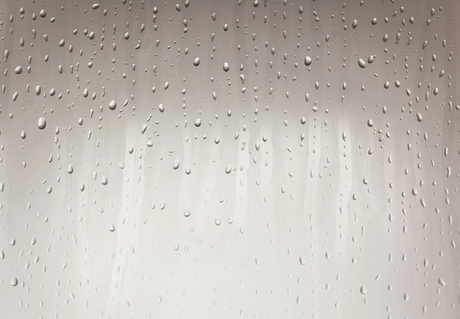 牆壁發霉 牆壁發霉