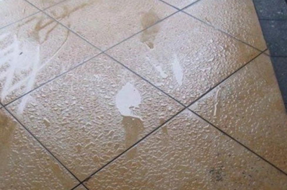 衣櫥除濕 衣櫥除濕