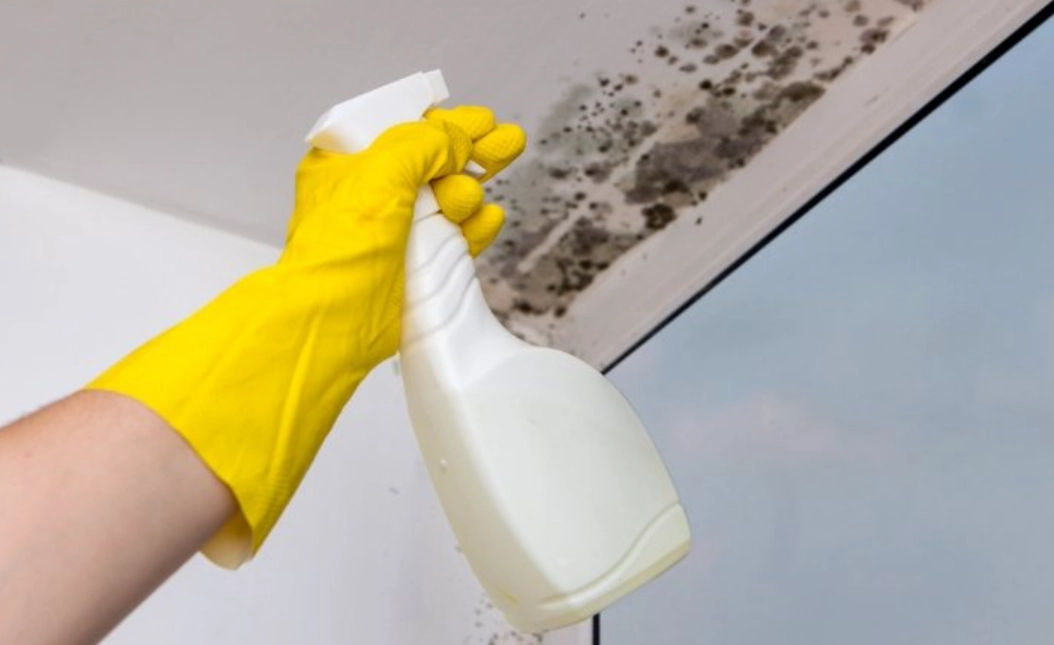 浴室除霉小蘇打 浴室除霉小蘇打