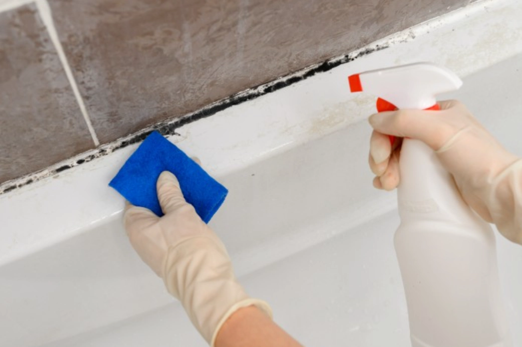 黴菌孢子去除 黴菌孢子去除