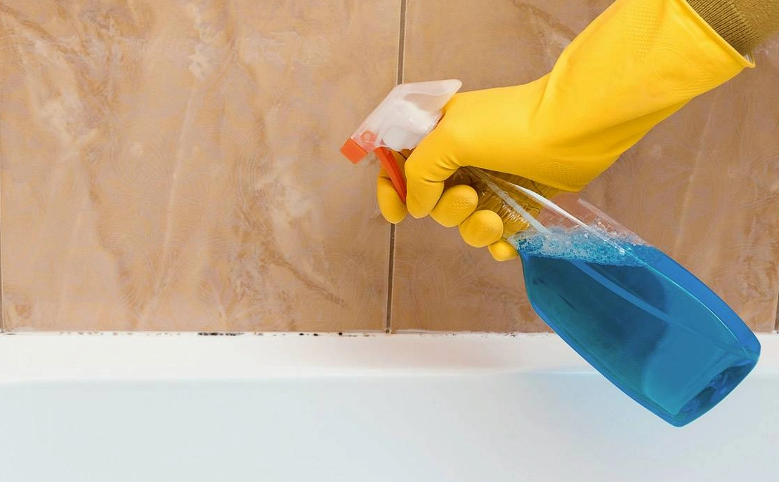 黴菌孢子去除 黴菌孢子去除