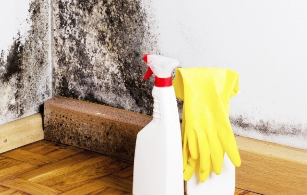 浴室除霉小蘇打 浴室除霉小蘇打