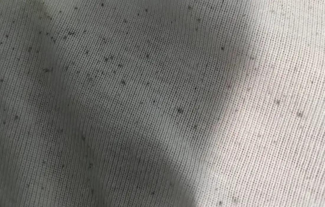 內褲黴菌清洗 內褲黴菌清洗