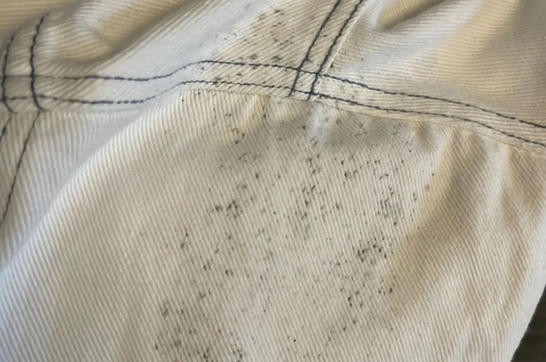 衣服發霉怎麼辦？過碳酸鈉清潔全攻略與預防技巧