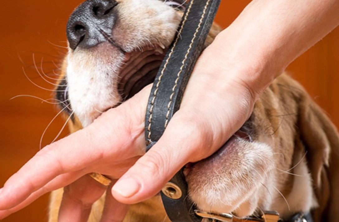 心理學解夢 心理學解夢