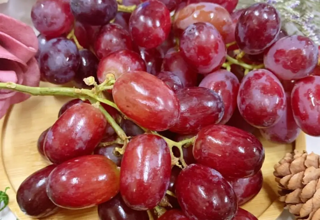 無核提子安全性 無核提子安全性