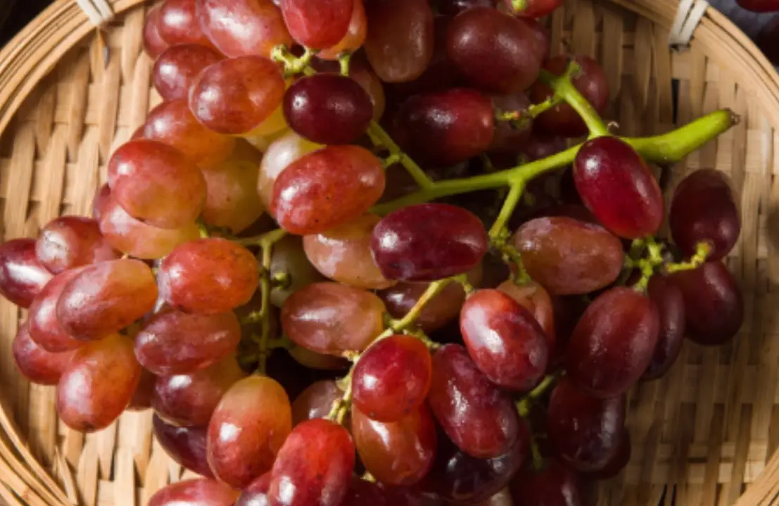 無核提子安全性 無核提子安全性