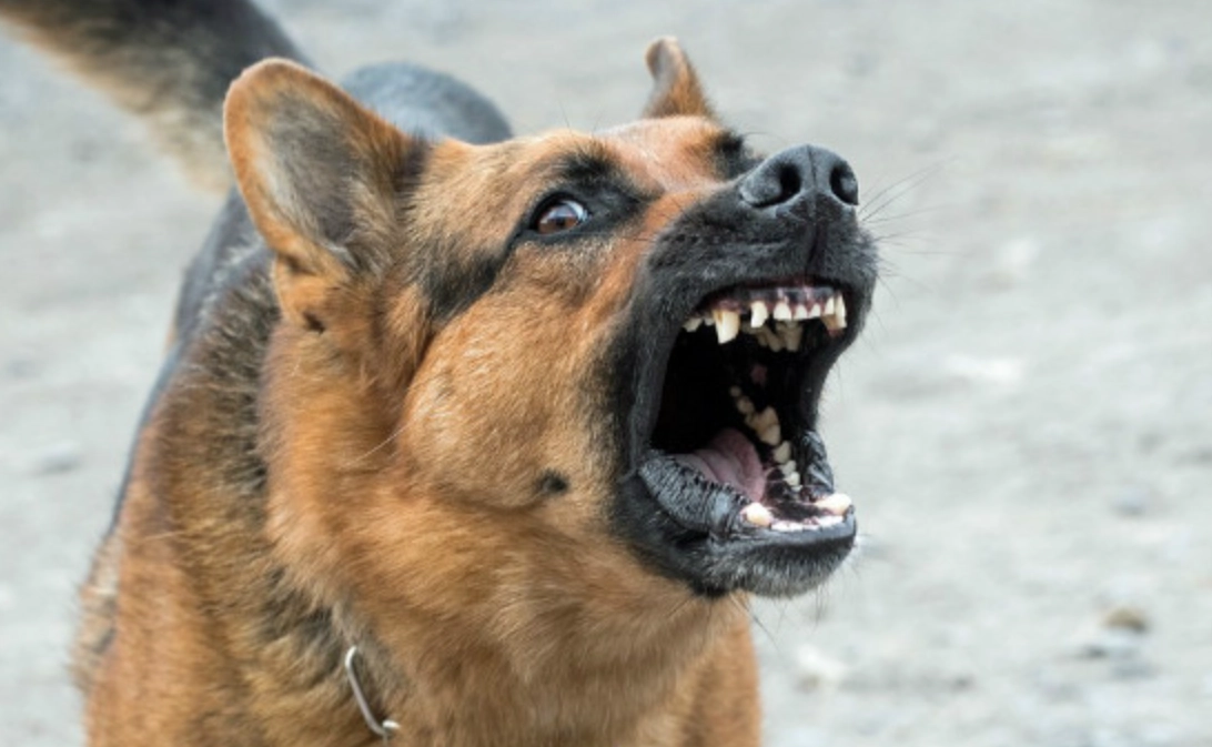 心理學解夢 心理學解夢