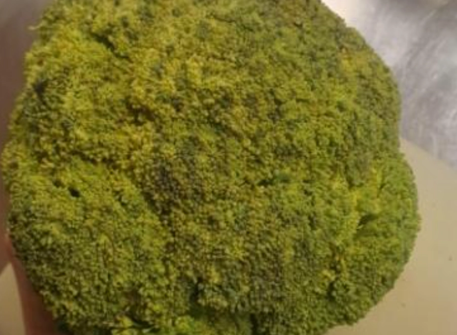 花椰菜變黃可以吃嗎？專家解析安全食用指南與保存秘訣