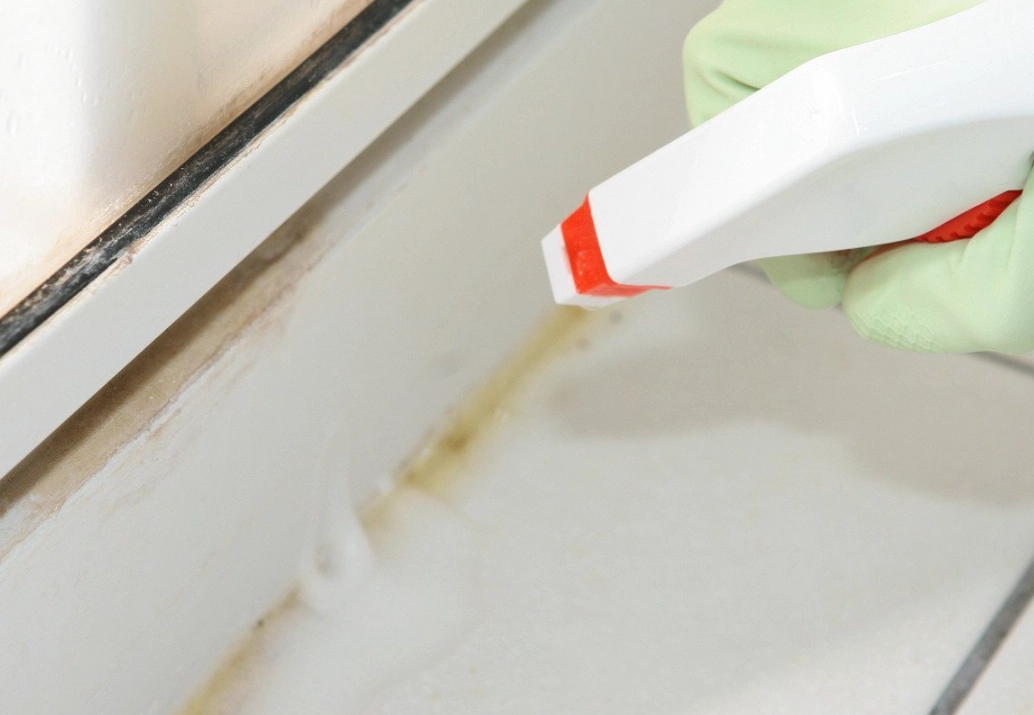 浴室霉斑清潔 浴室霉斑清潔