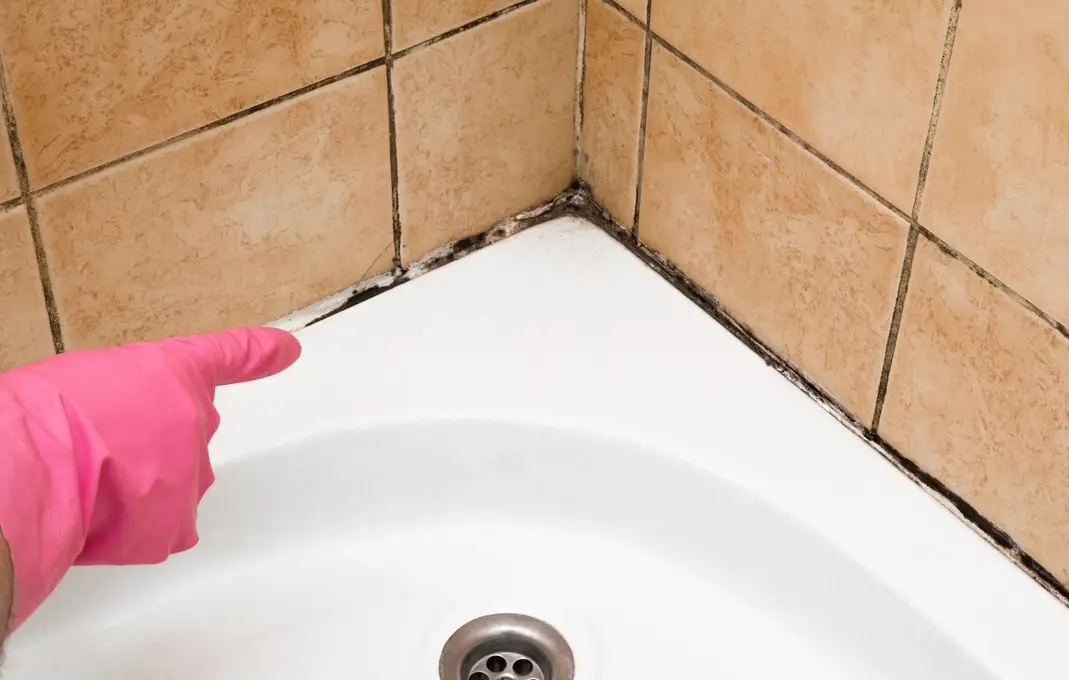 浴室發霉健康危機：徹底清潔與預防全指南