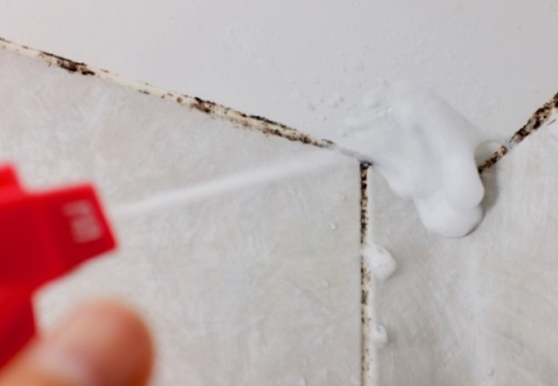 浴室黴菌清潔劑終極指南：選購、使用到根治的專家心法