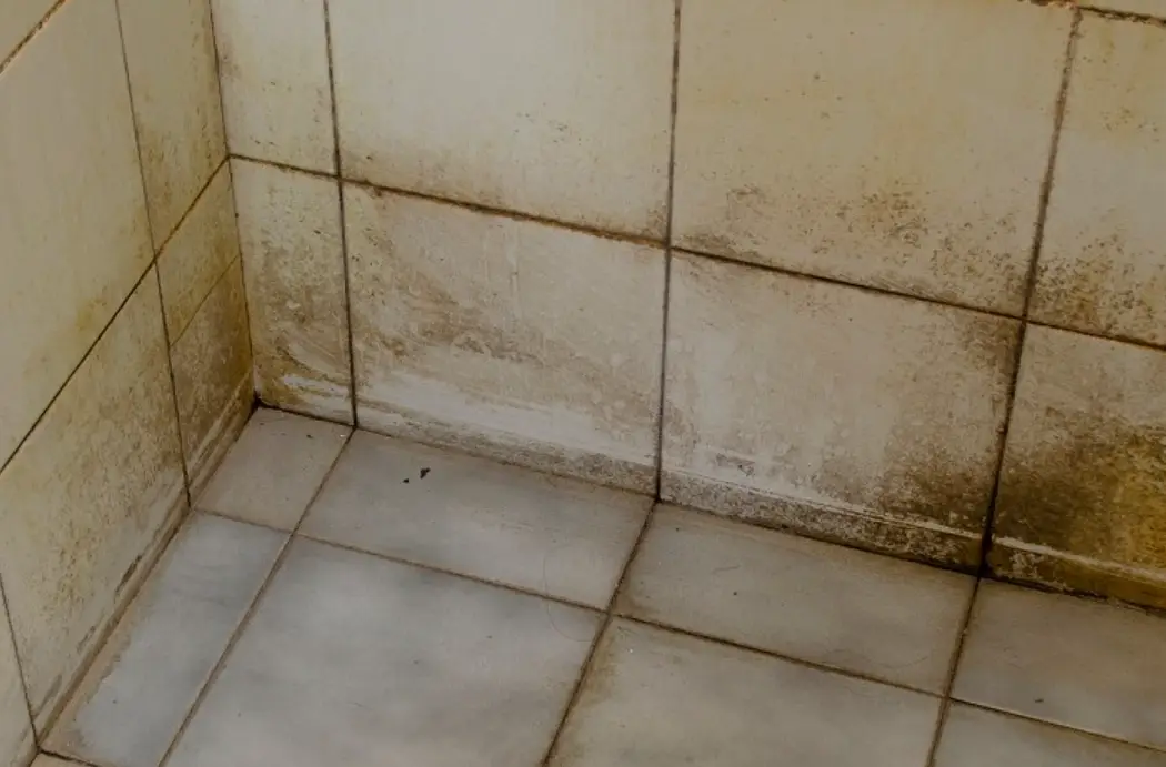 浴室發霉 浴室發霉