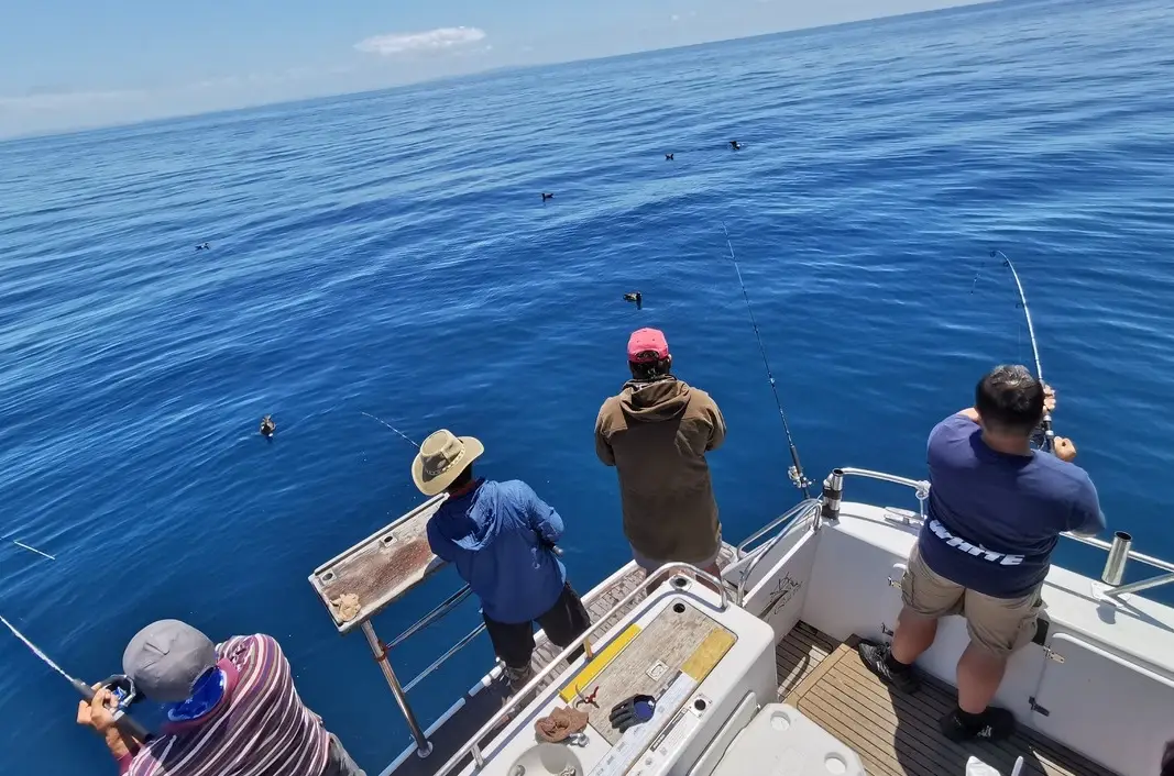 釣魚 夢境 意義 釣魚 夢境 意義