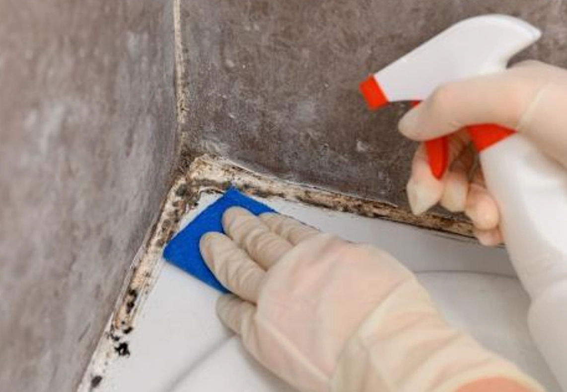 浴室清潔劑推薦 浴室清潔劑推薦