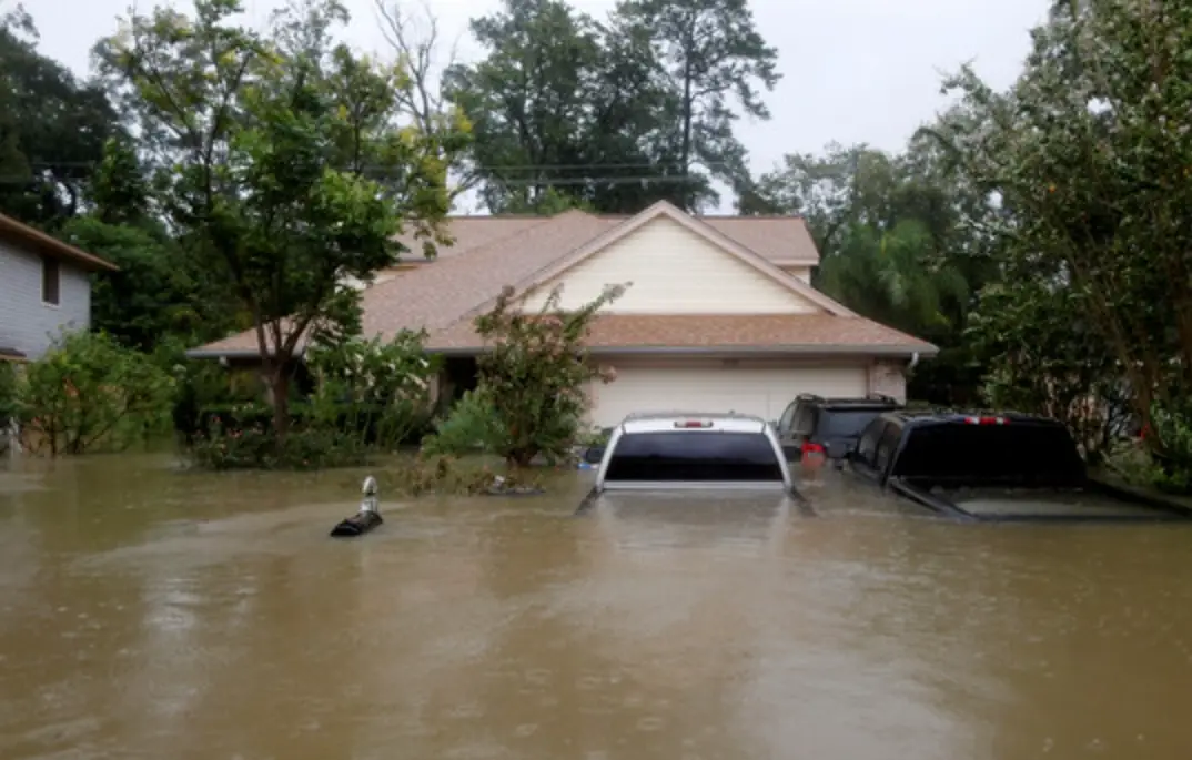 水夢 心理學 水夢 心理學