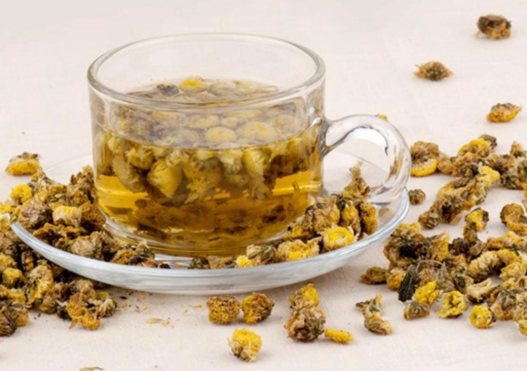 狗菊花茶功效、泡法與禁忌全解析！新手必看選購指南