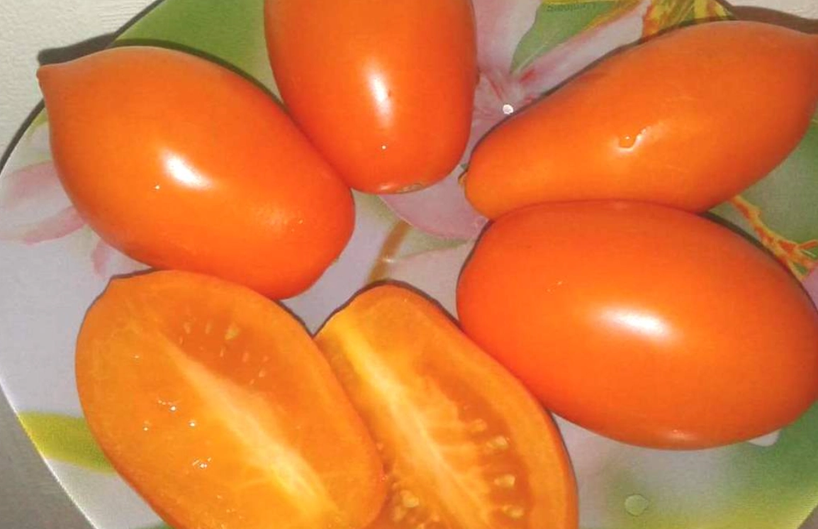 耐熱番茄推薦 耐熱番茄推薦