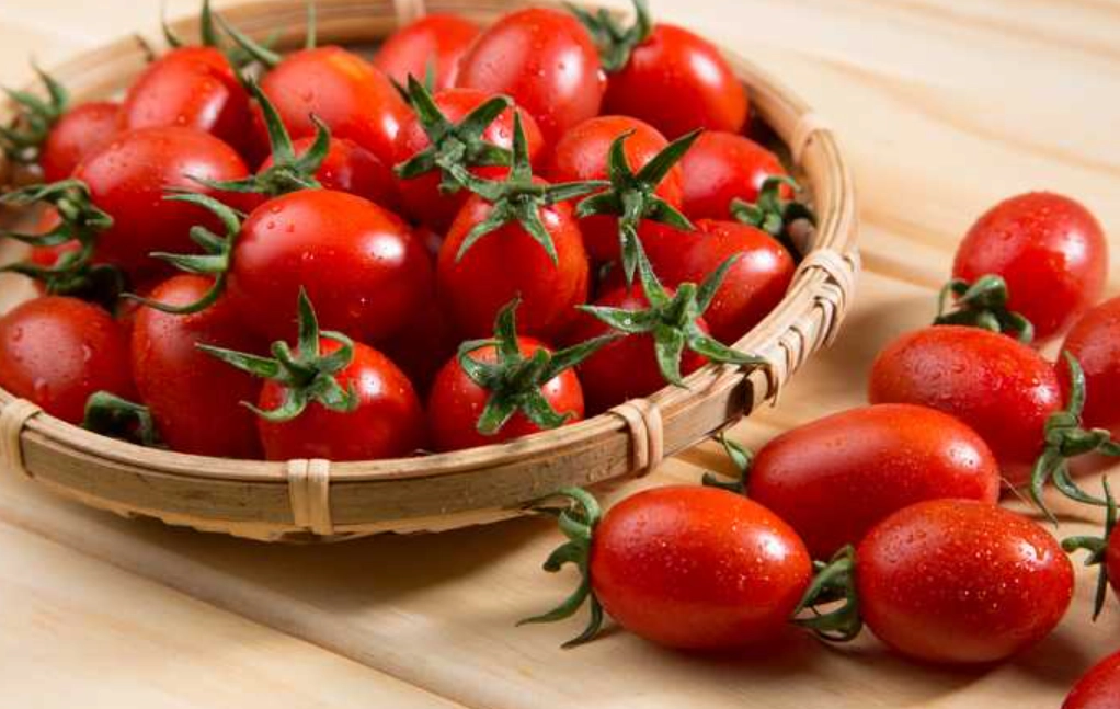 番茄夏季栽培 番茄夏季栽培