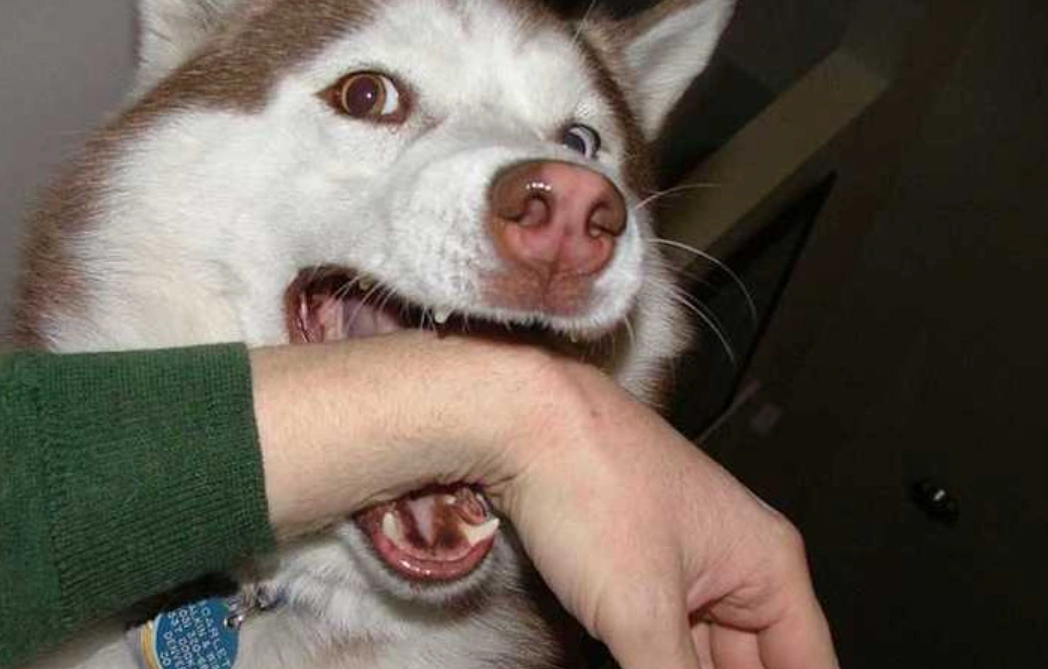 夢境解夢 夢境解夢