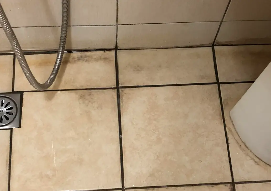 浴室地板除霉終極指南：徹底清除黴菌的實用方法