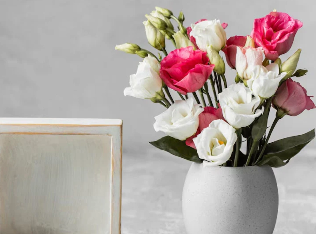 玫瑰花風水 玫瑰花風水