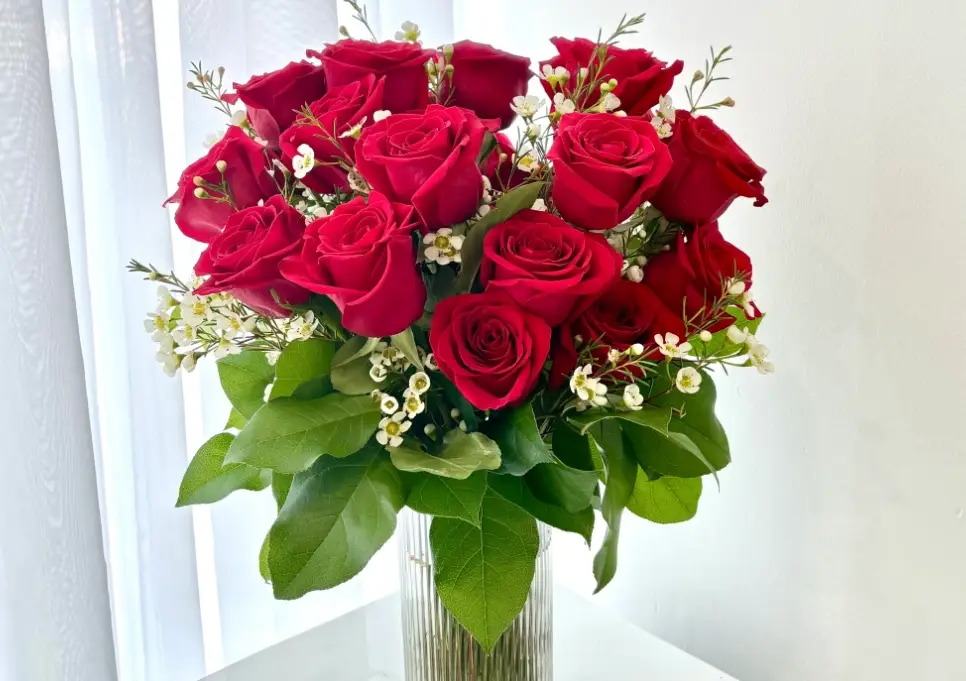 玫瑰花風水 玫瑰花風水