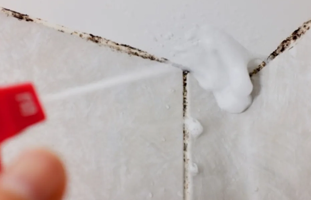 漂白水除霉方法