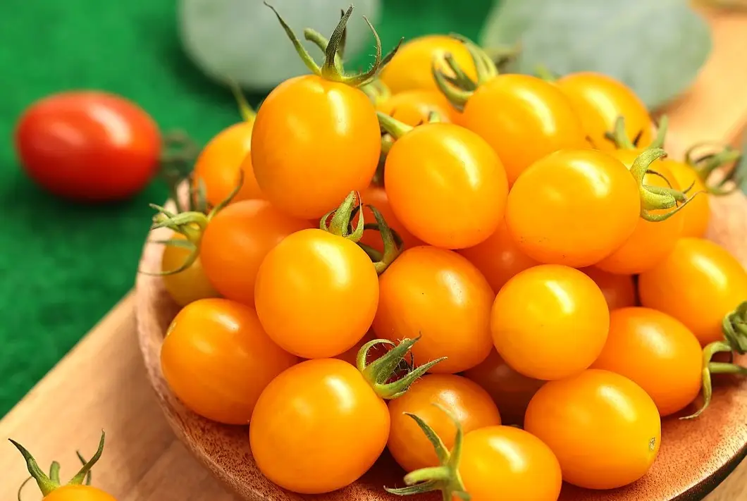 夏日番茄種植指南：耐熱品種推薦與栽培秘訣