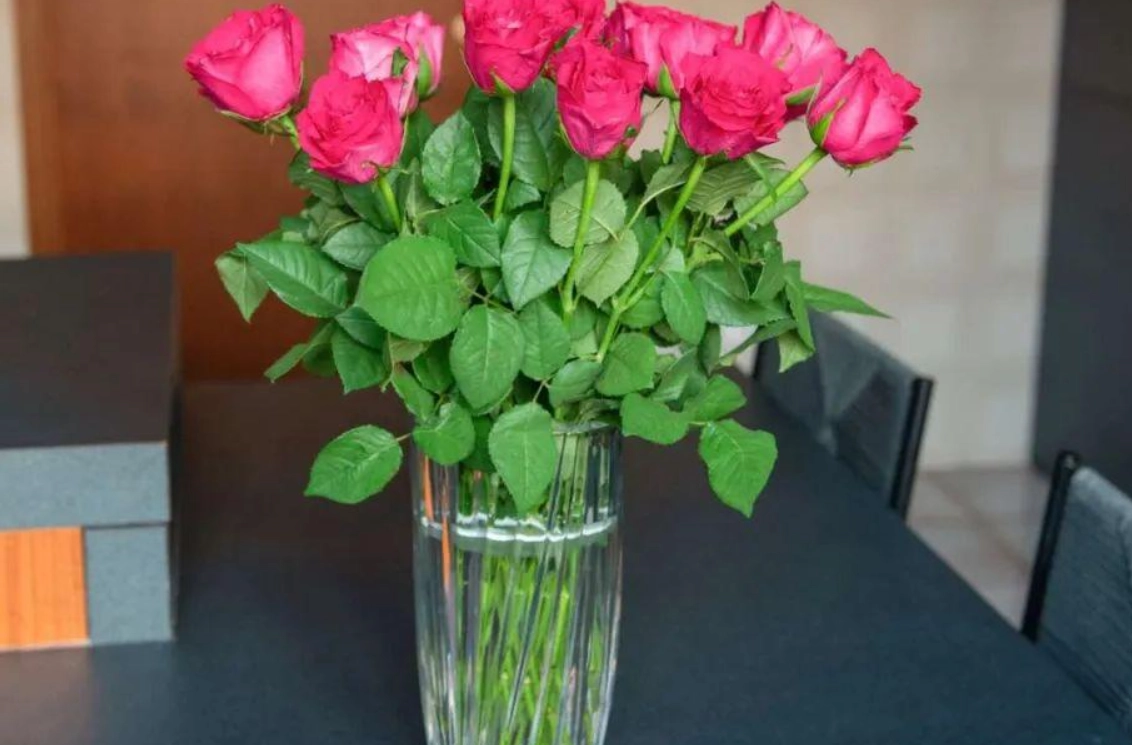 玫瑰花房間擺放