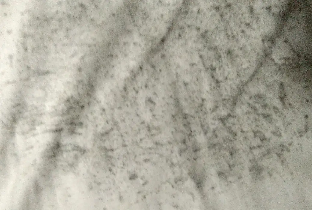 衣服除霉 衣服除霉