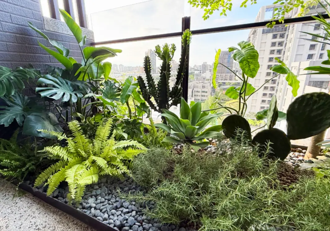 台灣陽台植物