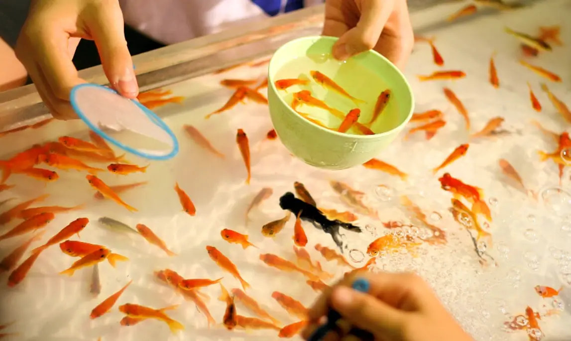 夢見抓魚 周公解夢 夢見抓魚 周公解夢