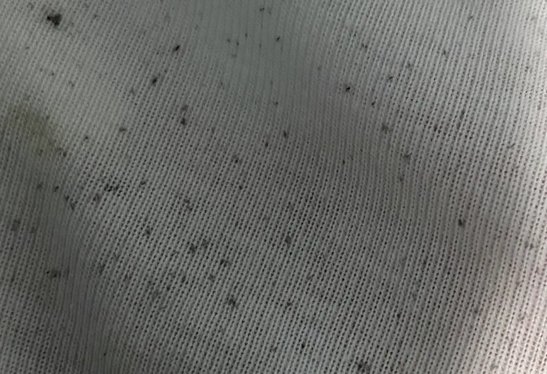 預防內褲發霉 預防內褲發霉