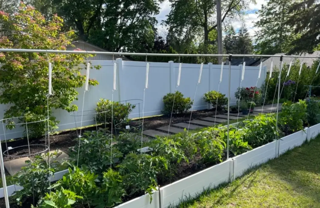 DIY番茄支架完整指南：從零開始打造穩固支架