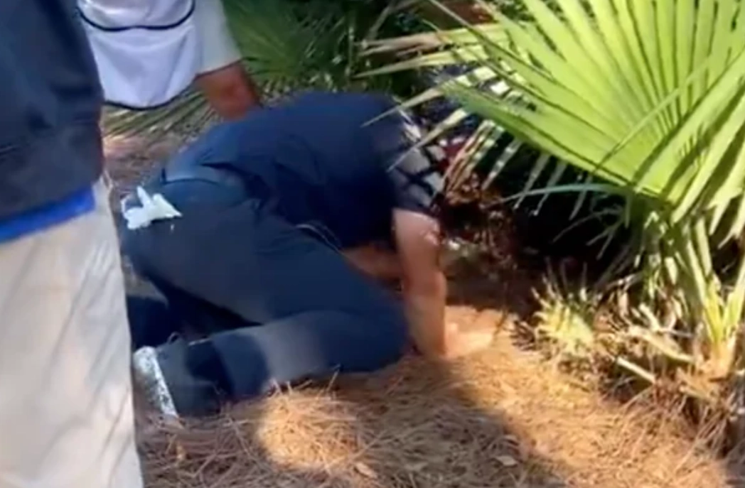 夢見被人追 夢見被人追