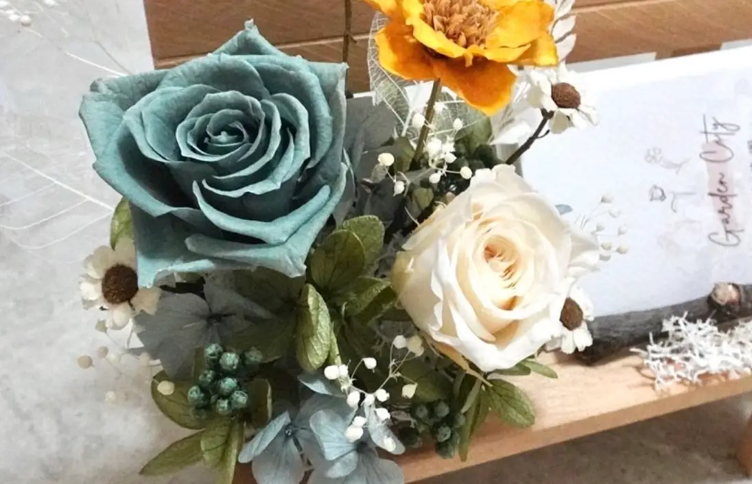 辦公室植物風水 辦公室植物風水