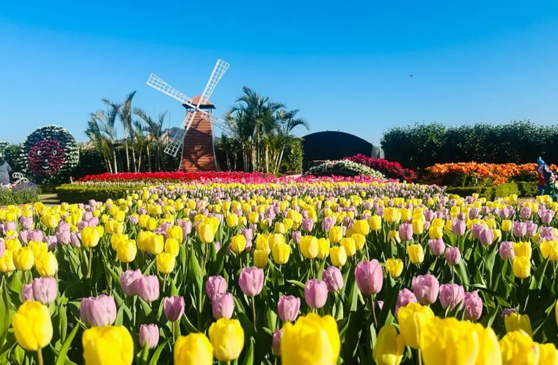 朋友花景點全攻略：門票地址、交通路線、必拍角落一次掌握