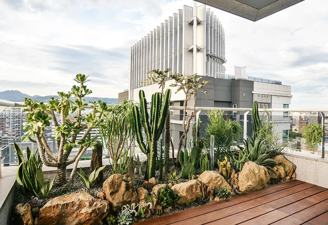 陽台植物推薦：10種適合台灣氣候的易養植物清單與養護秘訣